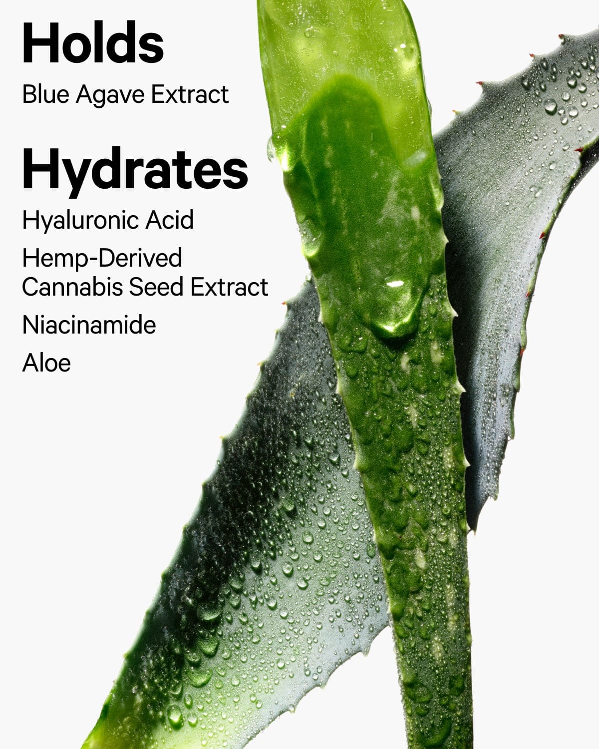 Hydro Grip Hydrating Setting Spray - Image 15